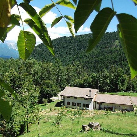 Bosco Delle Rune ..Un Angolo Di Paradiso Platischis ภายนอก รูปภาพ
