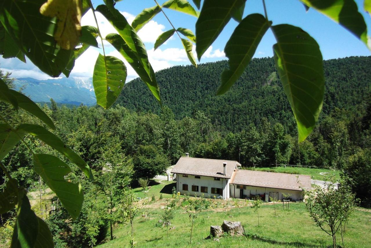 Bosco Delle Rune ..Un Angolo Di Paradiso Platischis ภายนอก รูปภาพ