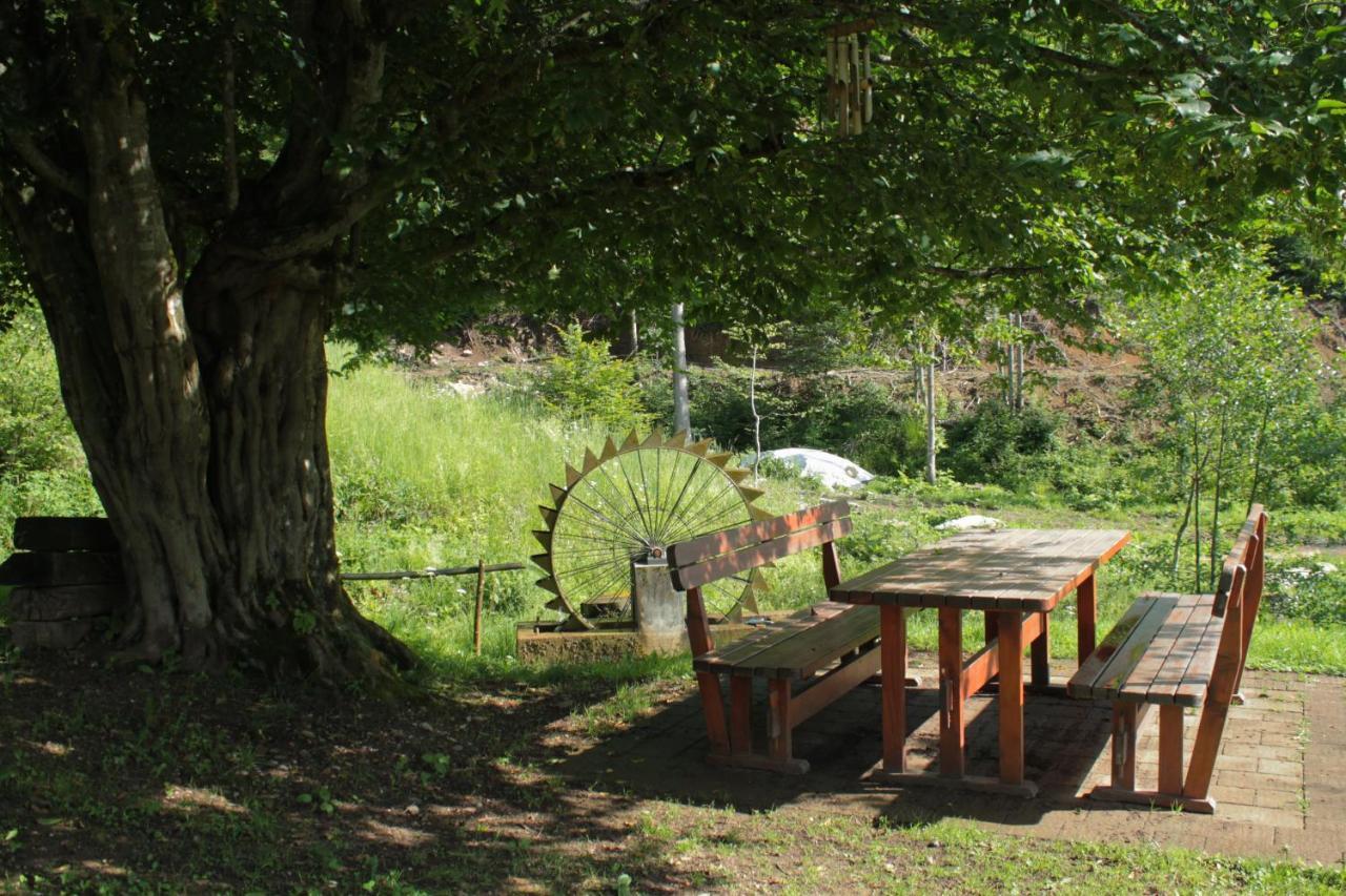 Bosco Delle Rune ..Un Angolo Di Paradiso Platischis ภายนอก รูปภาพ