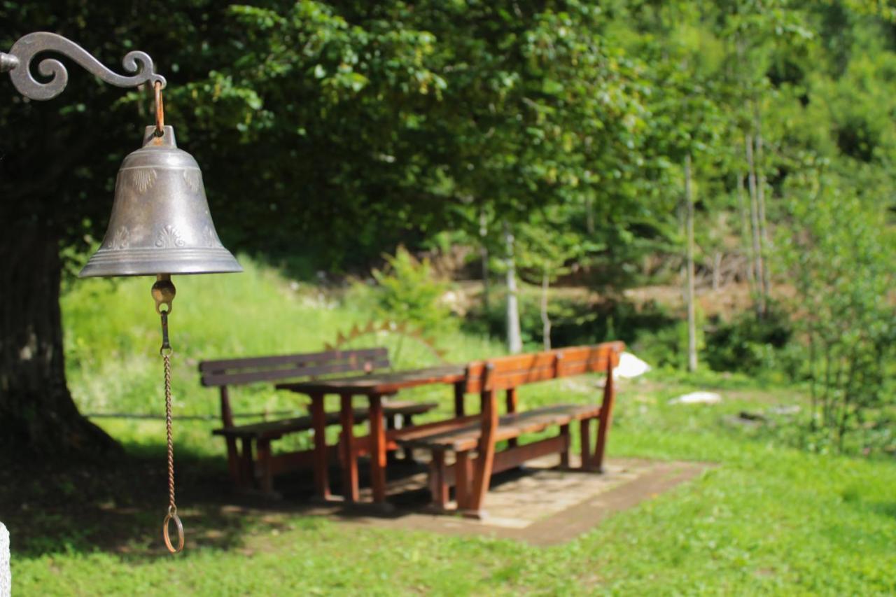 Bosco Delle Rune ..Un Angolo Di Paradiso Platischis ภายนอก รูปภาพ