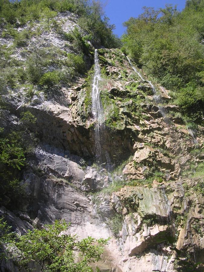 Bosco Delle Rune ..Un Angolo Di Paradiso Platischis ภายนอก รูปภาพ