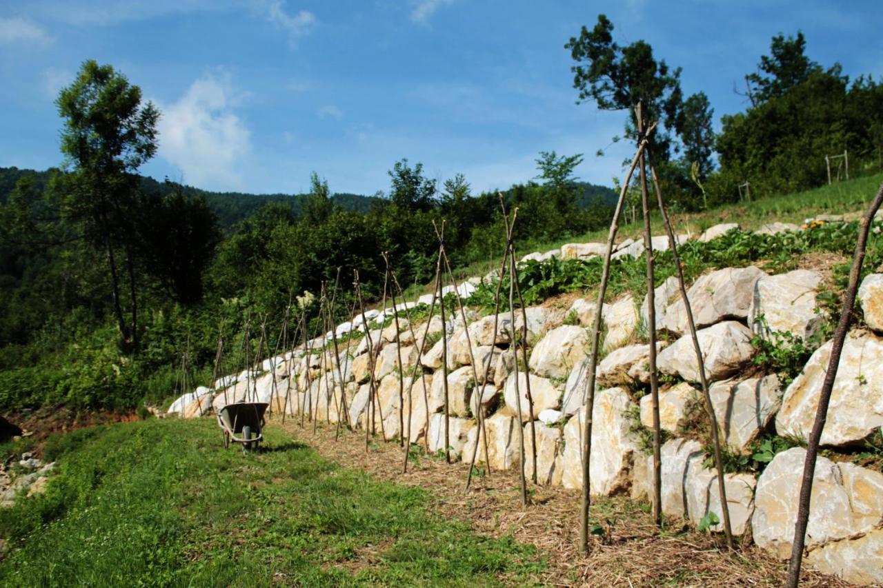 Bosco Delle Rune ..Un Angolo Di Paradiso Platischis ภายนอก รูปภาพ