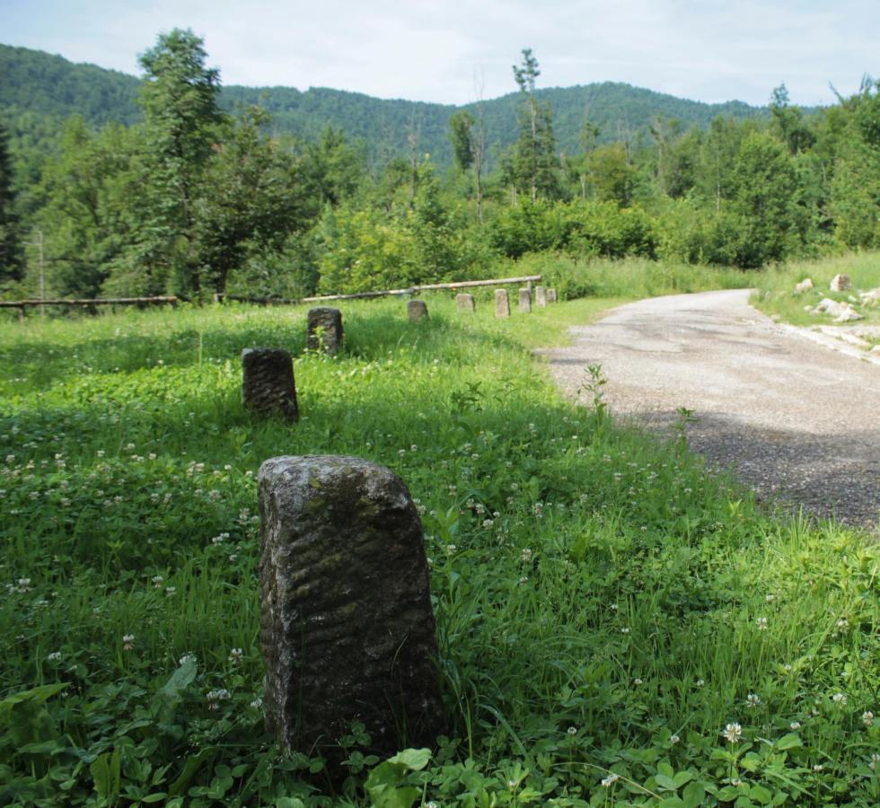 Bosco Delle Rune ..Un Angolo Di Paradiso Platischis ภายนอก รูปภาพ