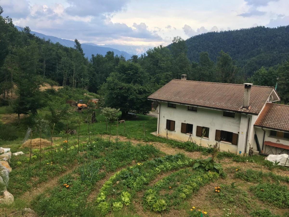 Bosco Delle Rune ..Un Angolo Di Paradiso Platischis ภายนอก รูปภาพ