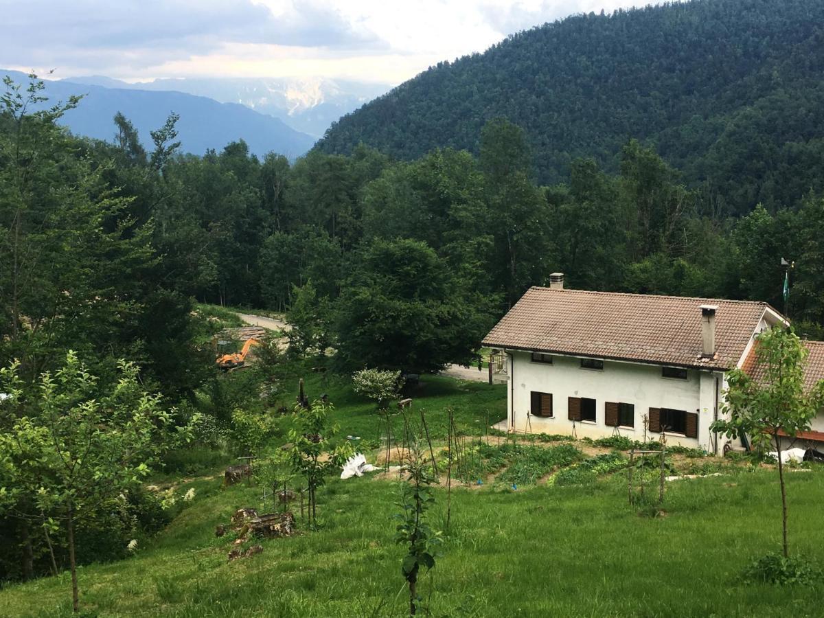 Bosco Delle Rune ..Un Angolo Di Paradiso Platischis ภายนอก รูปภาพ