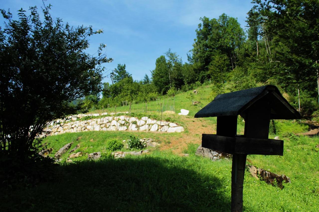 Bosco Delle Rune ..Un Angolo Di Paradiso Platischis ภายนอก รูปภาพ