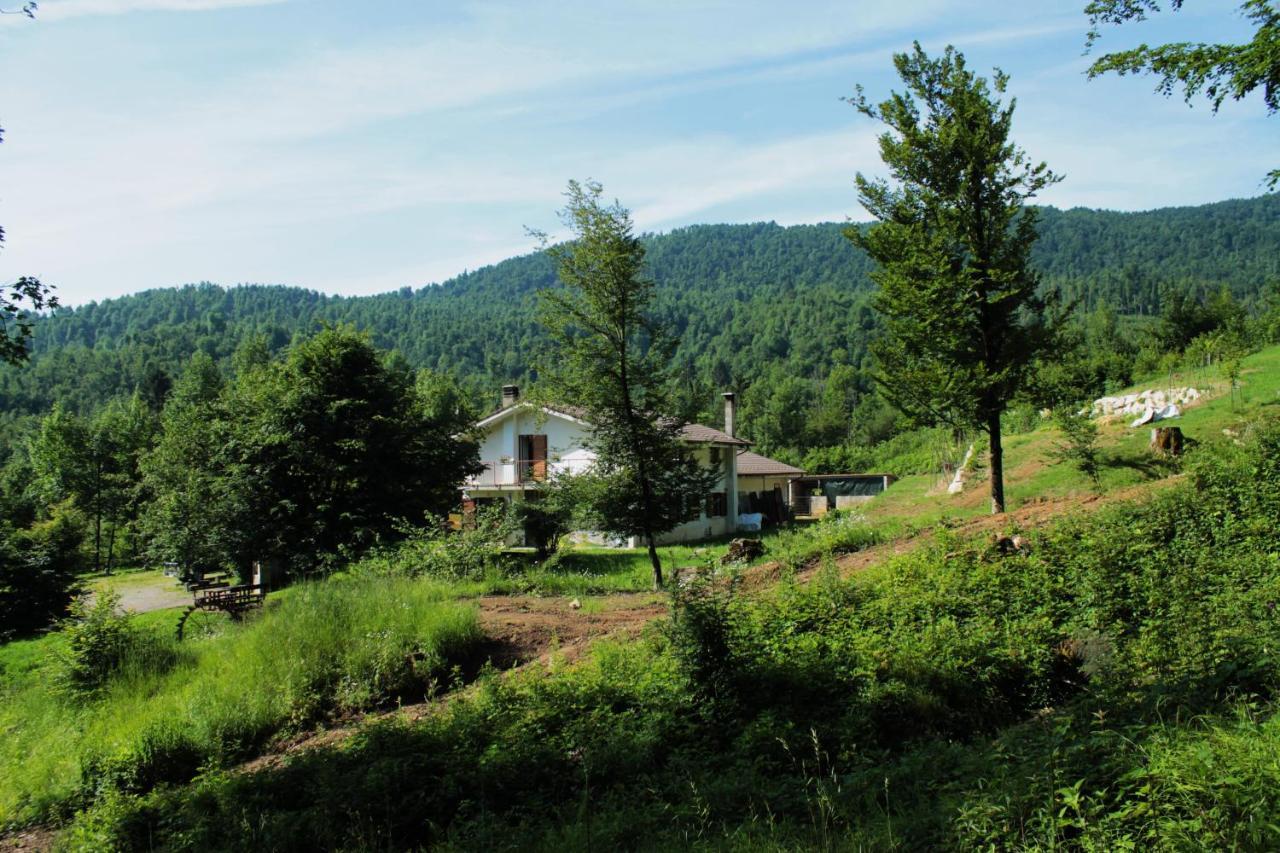 Bosco Delle Rune ..Un Angolo Di Paradiso Platischis ภายนอก รูปภาพ