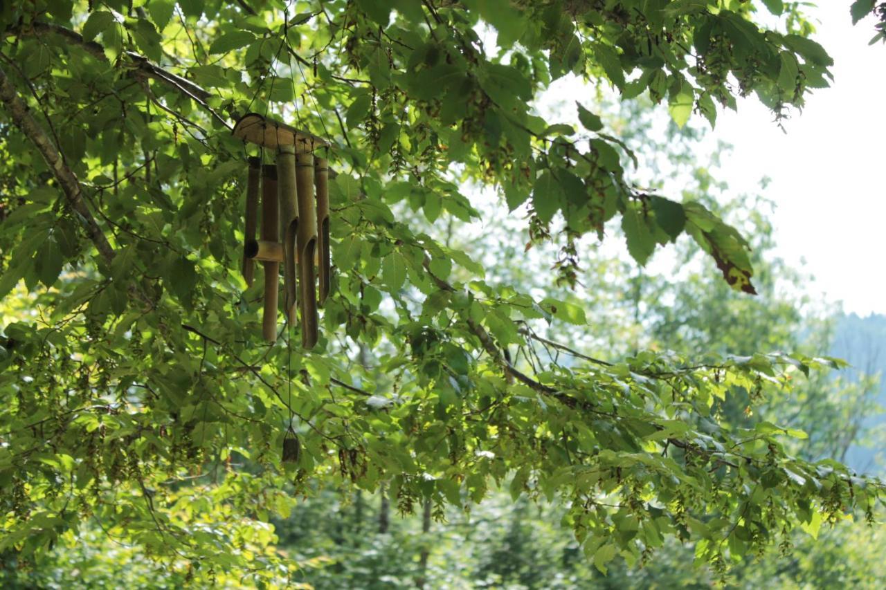 Bosco Delle Rune ..Un Angolo Di Paradiso Platischis ภายนอก รูปภาพ